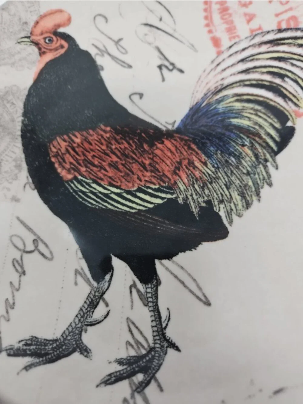 Vintage Paula Scaletta Black Chicken French Hen Rooster Plate SBCD Studios Plate